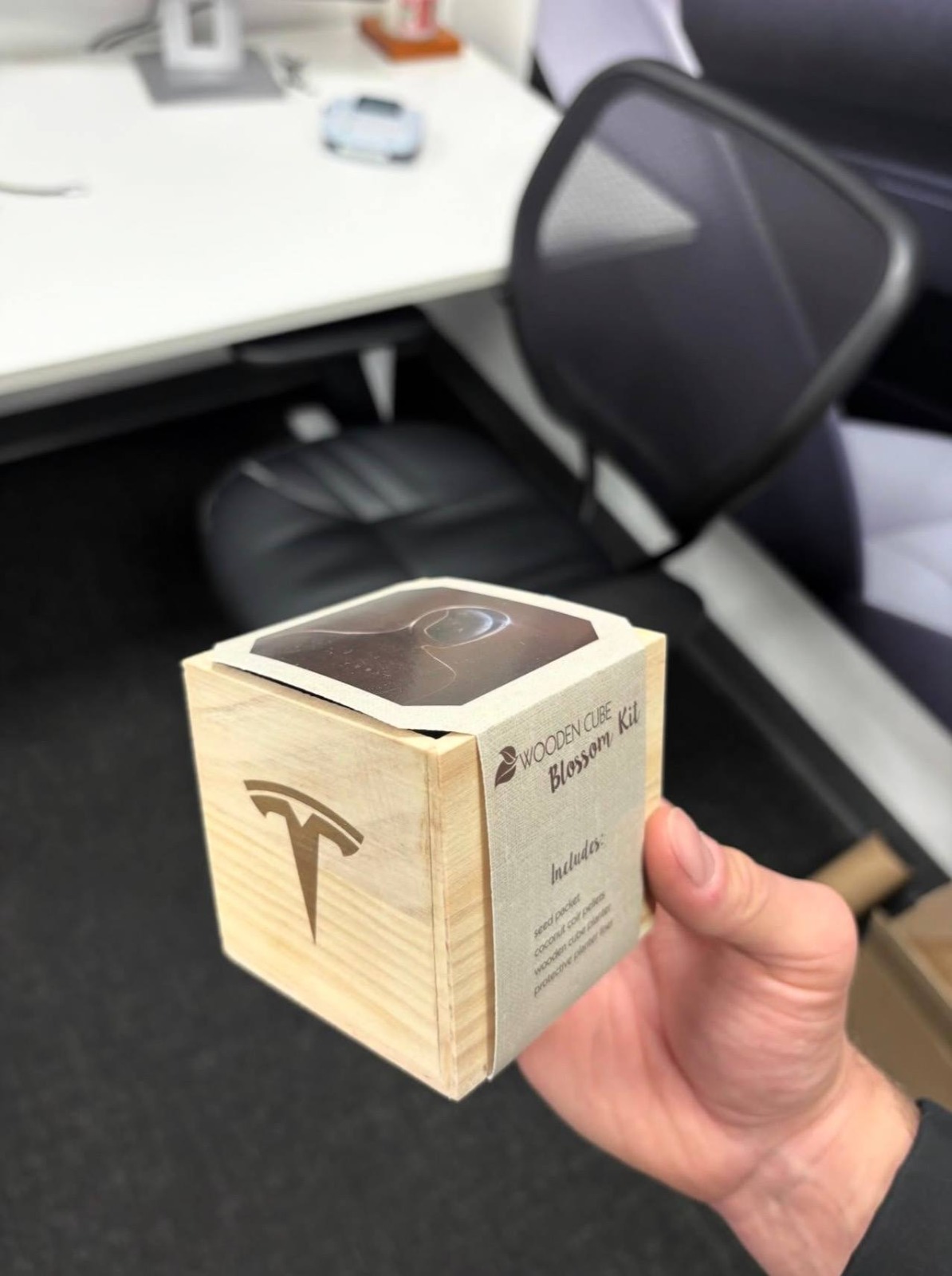 Tesla Wooden Cube Blossom Gift Kit