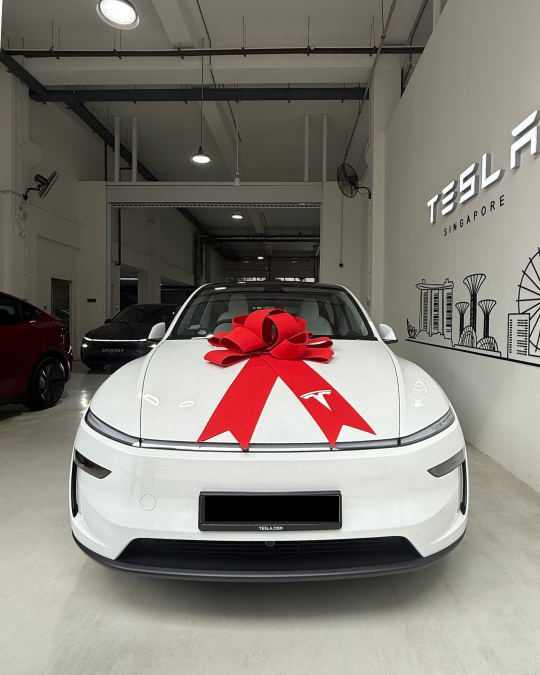 White Tesla Model 3 Showcase